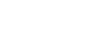 Vegas.io 500x500_white